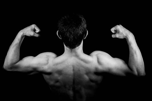 Best Amino Acids for Muscle Growth