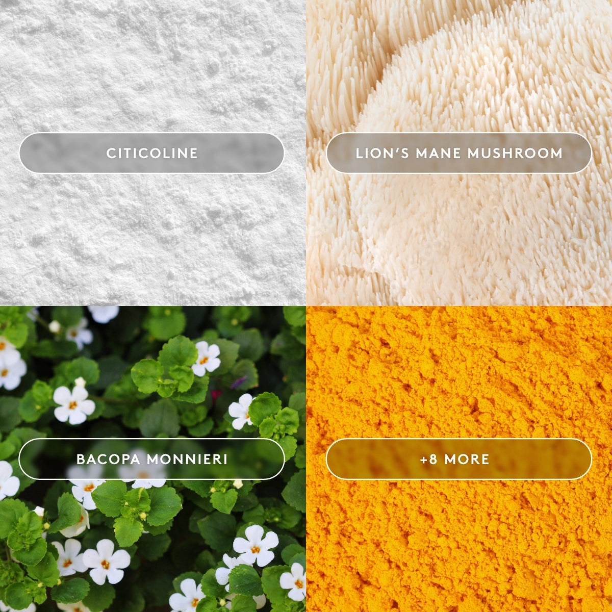 Mind Lab Pro® gallery image