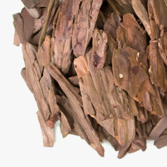 Image of Maritime Pine Bark Extract