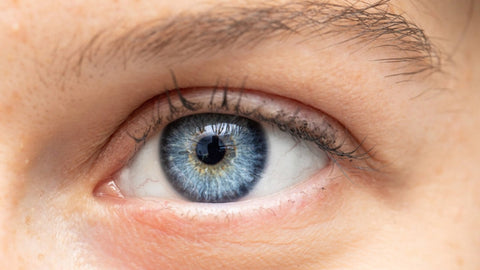 Top-Rated Eye Vitamins for Vision Health: A close-up photo of a healthy blue eye