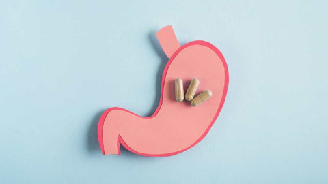 Vitamin C on An Empty Stomach: 3 Tips for Optimal Absorption. A cardboard cutout stomach. Three vitamin C capsules sit on top of the stomach cutout