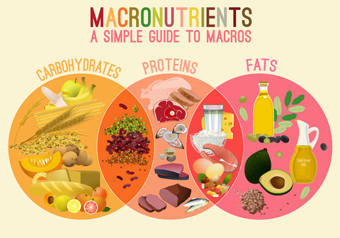 Macros: What Are They and How To Count Them