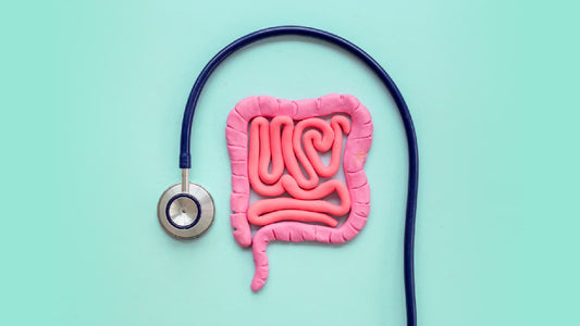 Image of intestines and stethoscope to depict the idea of gut health.