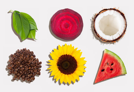 The Science of Superior Performance: How the Best Pre Workout Nootropics Boost Strength, Stamina & Strategy