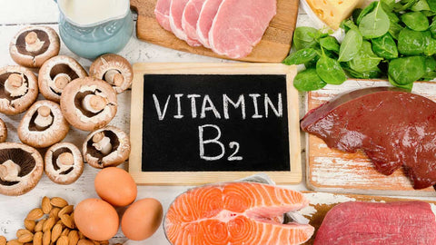 Vitamin B2: Performance Benefits for Mind and Body