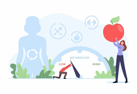 An illustration of a metabolism scale with a man pushing it towards "high," a woman holding an apple, and other healthy images
