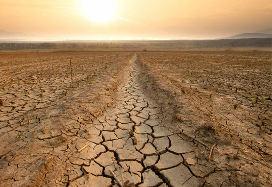 60 harvests left. How can we save our soil?