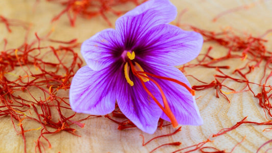 How Saffron Supplements Support Eye Health and Other Wellness Benefits: Saffron flower and stigmas