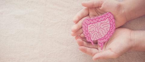 When to take prebiotics feature image