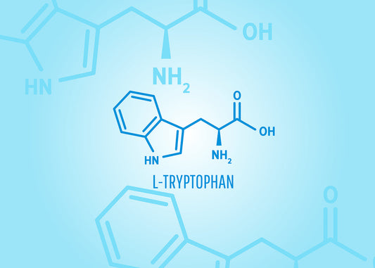 Why does tryptophan make you sleepy? An illustration of tryptophan's chemical structure.