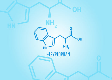 Why does tryptophan make you sleepy? An illustration of tryptophan's chemical structure.