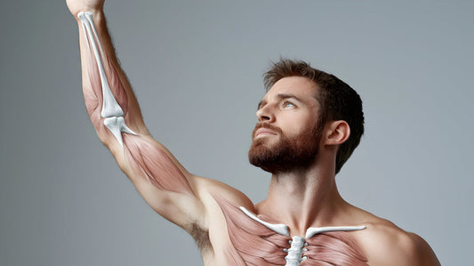 Benefits of vitamin ADK. A man holds his arm up, an illustration shows his bones