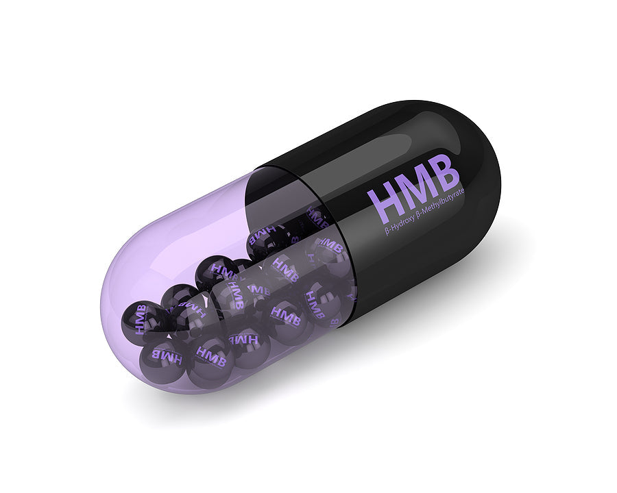 HMB Supplement Benefits | Performance Lab®