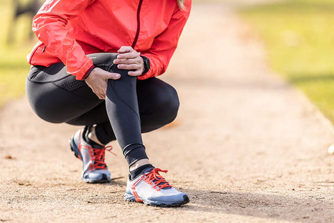 Complete Guide to Phytodroitin: Plant-Based Alternative to Chondroitin