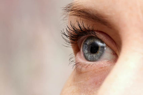 Vitamin K2 and Eyesight: Is There A Link?
