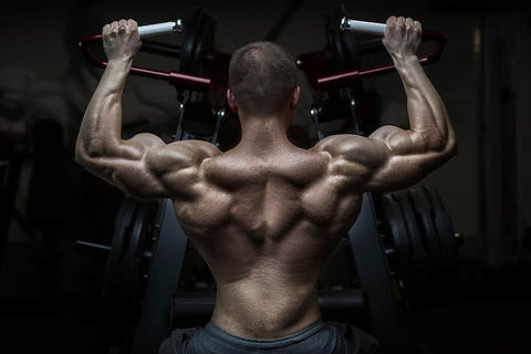 Best Nitric Oxide Supplement: Complete Guide for 2025