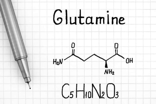 Glutamine in Pre-Workouts: Good or Bad?