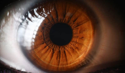 Do Eye Vitamins Work?