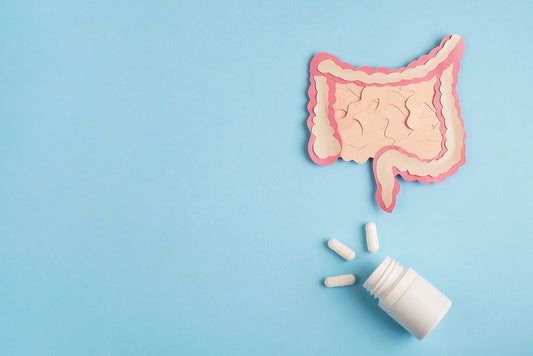 Inulin vs Psyllium: Which Is Better for Gut Health?