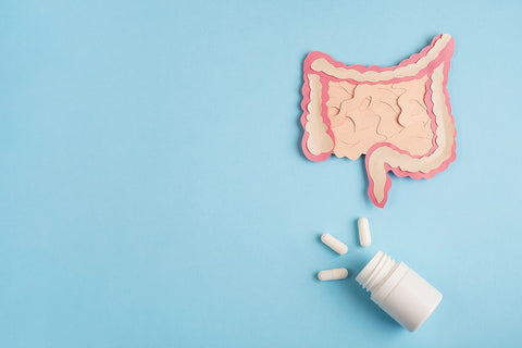 Inulin vs Psyllium: Which Is Better for Gut Health?