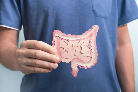 How to Heal Your Gut: Top 10 Strategies