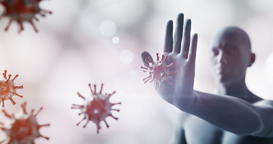 Primary vs Secondary Immune Response: A Complete Guide