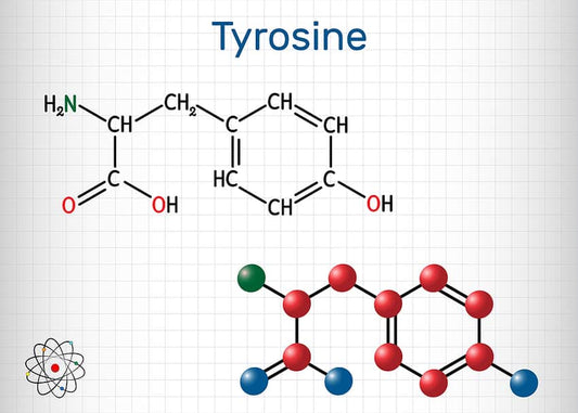 L-Tyrosine: Benefits, How it Works, & Ideal Dosage