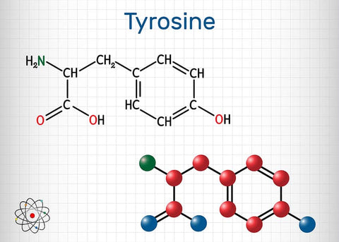 L-Tyrosine: Benefits, How it Works, & Ideal Dosage