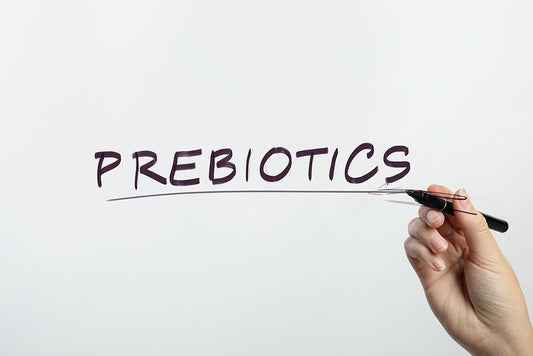 Does Prebiotic Fiber Break A Fast? - A Complete Guide