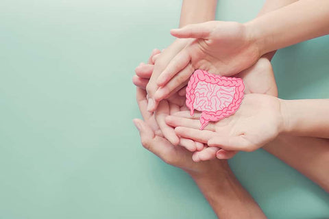 What Are the Signs You Need Probiotics?