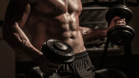 HMB and Vitamin D3: Understanding the Link