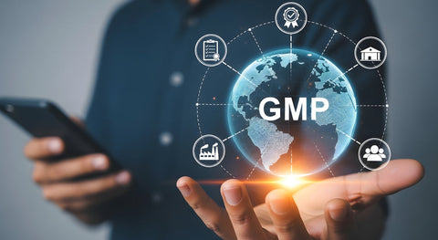 What are GMP certified supplements and why do they matter?