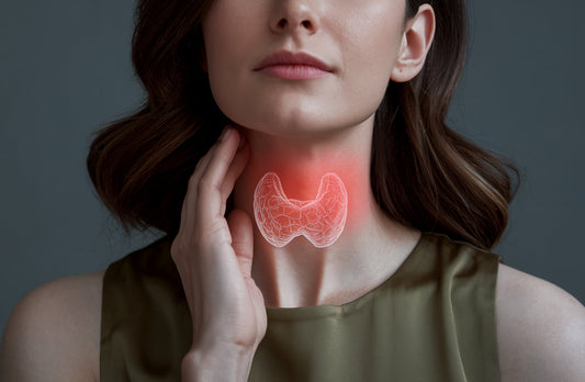 Lemon Balm and Thyroid: Benefits, Risks, and Dietary Considerations. A woman holds her neck, with a thyroid gland graphic