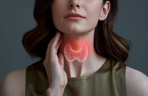Lemon Balm and Thyroid: Benefits, Risks, and Dietary Considerations. A woman holds her neck, with a thyroid gland graphic