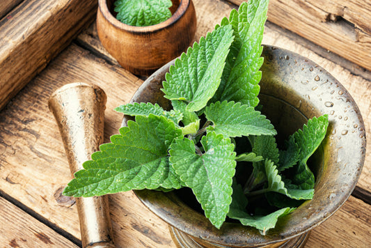 Understanding Lemon Balm Side Effects: What You Need to Know. Several lemon balm leaves sit in a pestle and mortar 