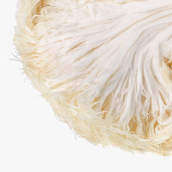 Image of Organic Lion's Mane Mushroom