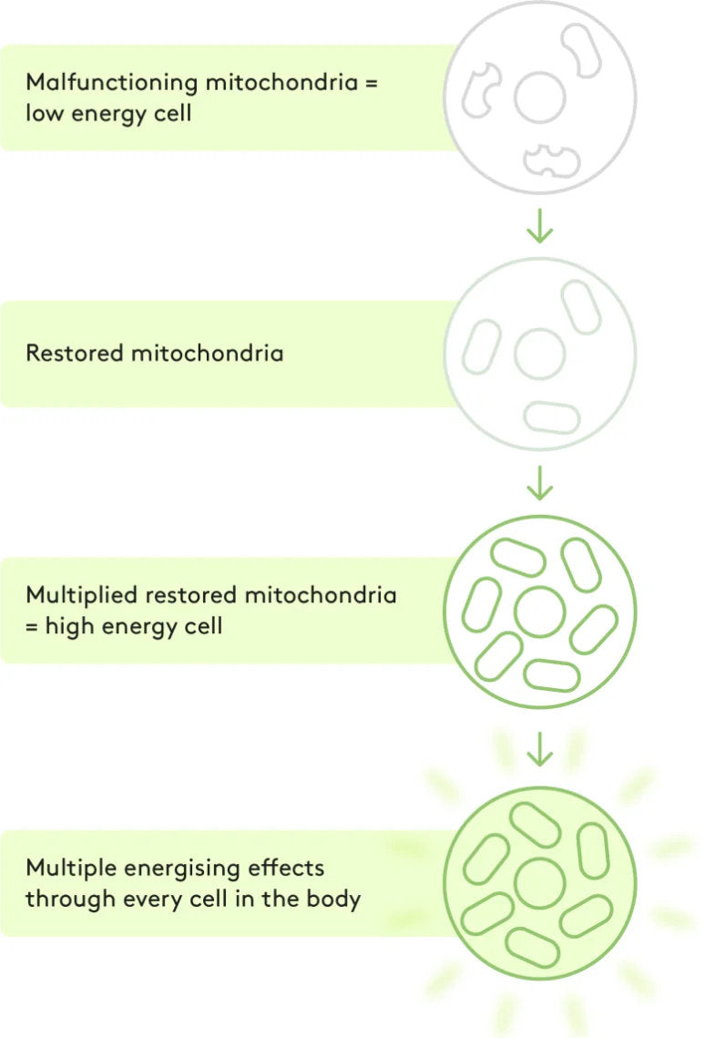 graphic explaining process