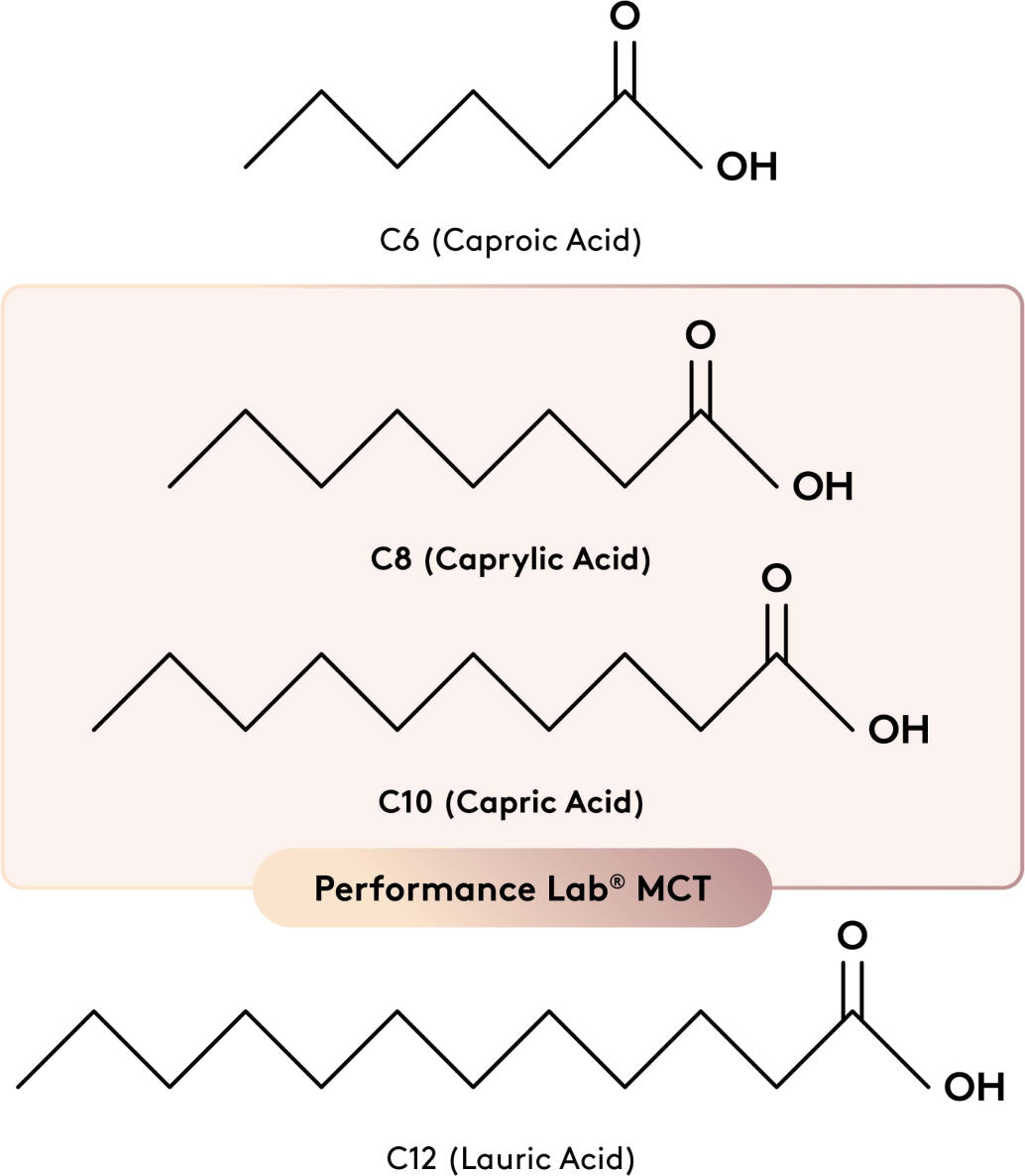 diagram explaining MCT