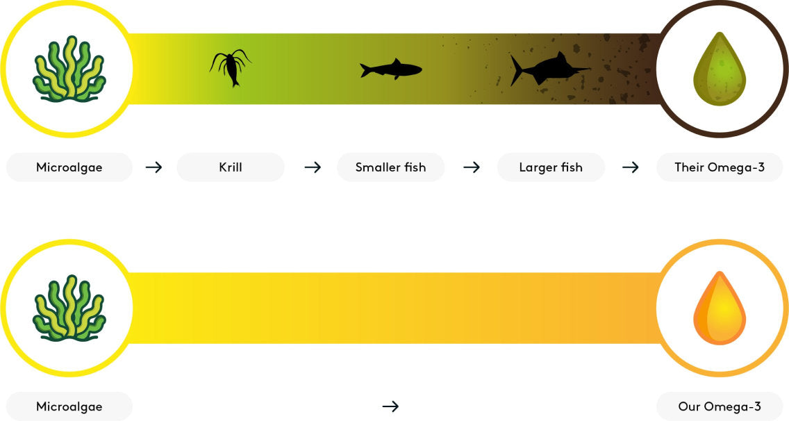 graphic explaining the benefits of Performance Lab® Omega-3