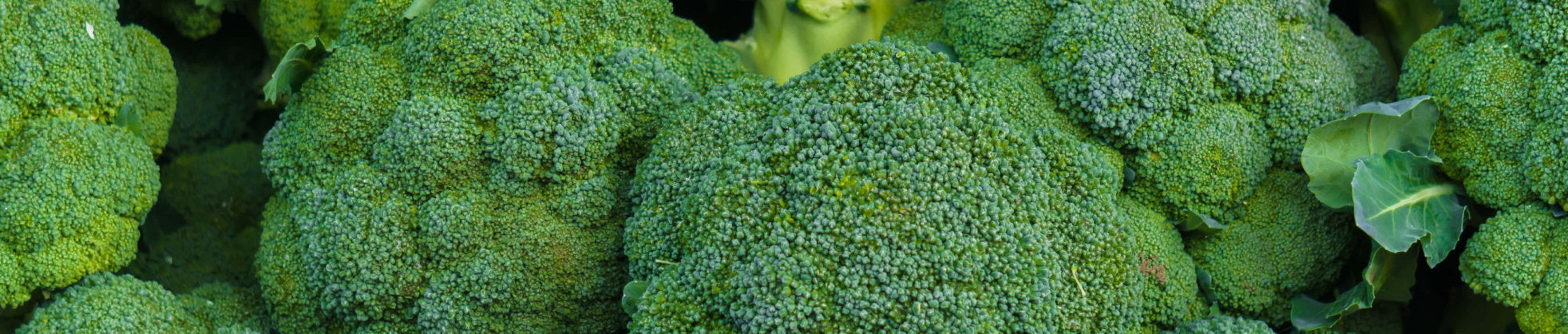 image of broccoli