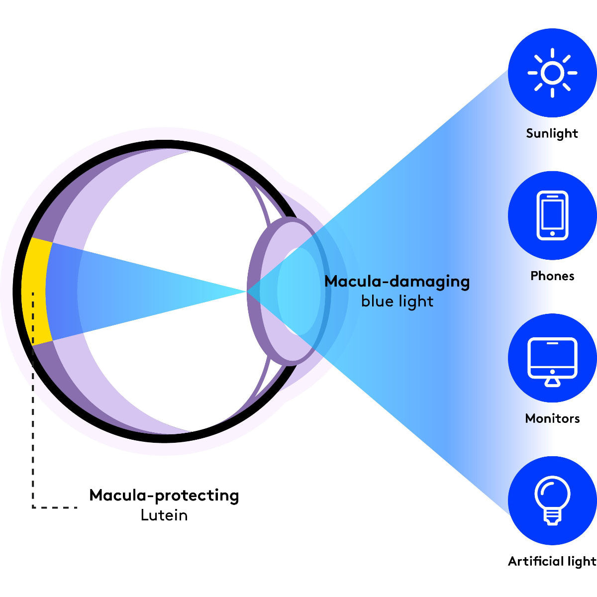 graphic explaining benefits of Vision