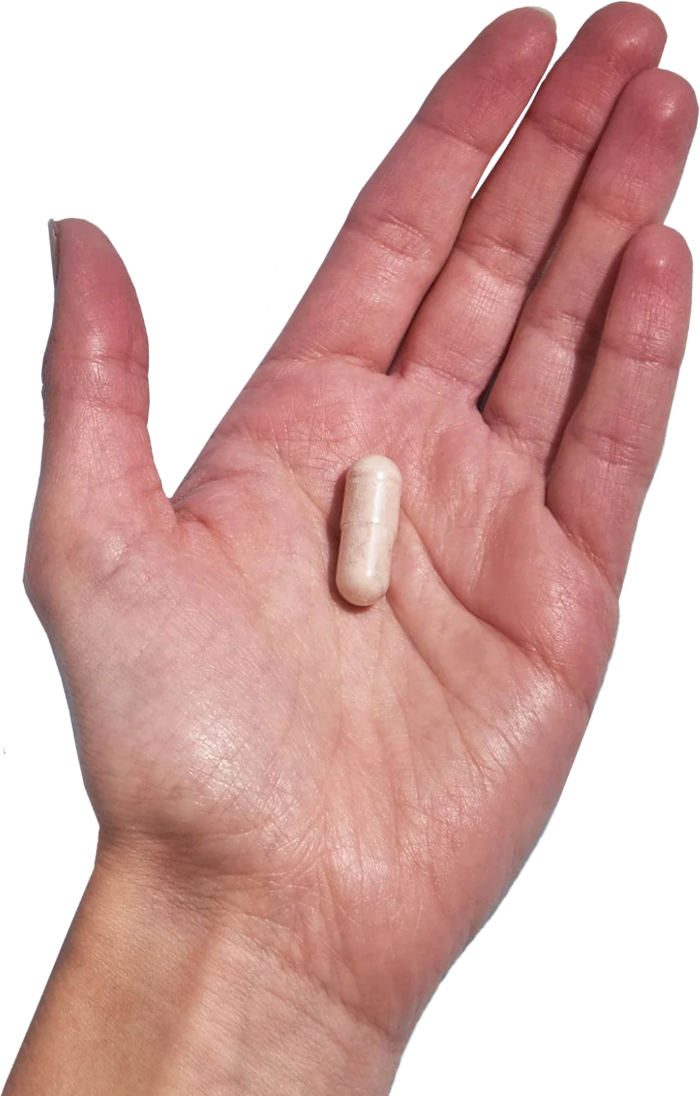 Zinctron Zinc Dietary Supplement with NutriGenesis® | Performance Lab®